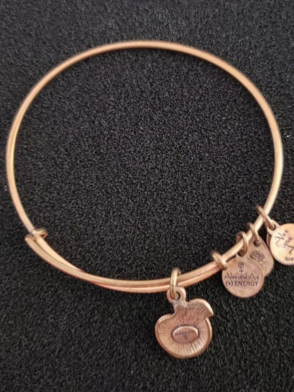 Alex and Ani Gold Apple Charm Bracelet Bangle 39